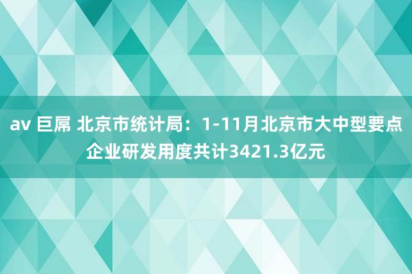 av 巨屌 北京市统计局：1-11月北京市大中型要点企业研发用度共计3421.3亿元