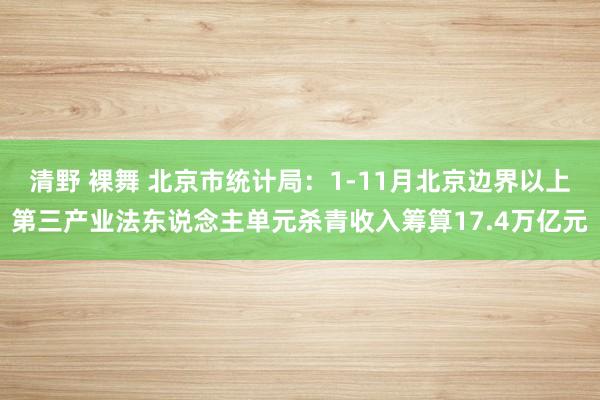 清野 裸舞 北京市统计局：1-11月北京边界以上第三产业法东说念主单元杀青收入筹算17.4万亿元