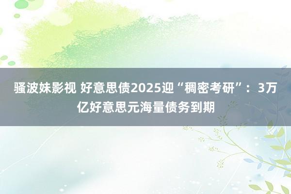 骚波妹影视 好意思债2025迎“稠密考研”：3万亿好意思元海量债务到期