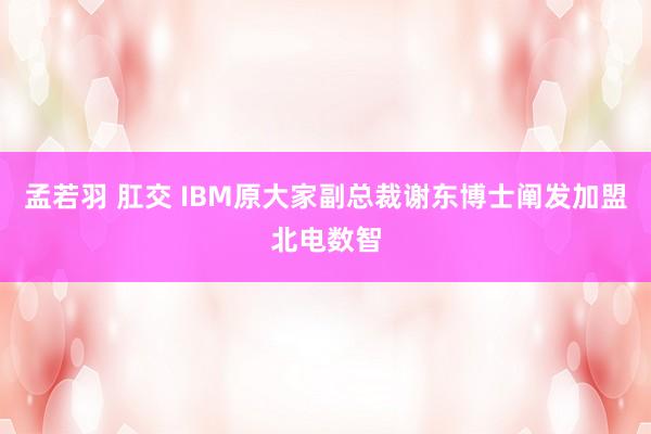 孟若羽 肛交 IBM原大家副总裁谢东博士阐发加盟北电数智