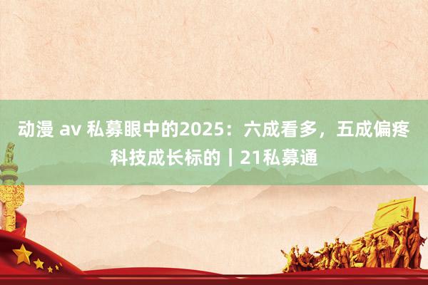 动漫 av 私募眼中的2025：六成看多，五成偏疼科技成长标的｜21私募通