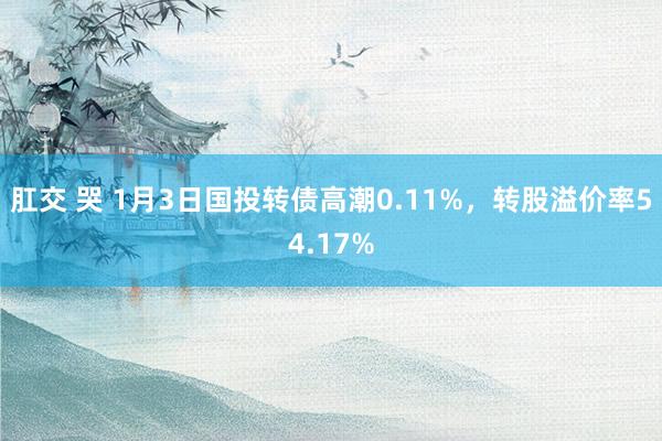 肛交 哭 1月3日国投转债高潮0.11%，转股溢价率54.17%