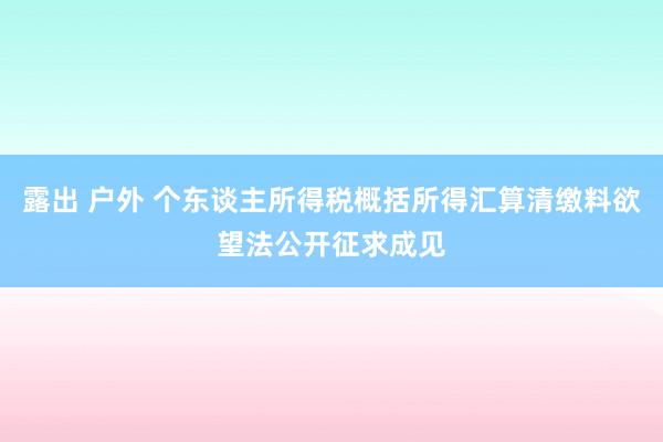 露出 户外 个东谈主所得税概括所得汇算清缴料欲望法公开征求成见