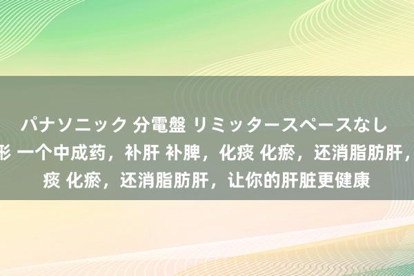 パナソニック 分電盤 リミッタースペースなし 露出・半埋込両用形 一个中成药，补肝 补脾，化痰 化瘀，还消脂肪肝，让你的肝脏更健康