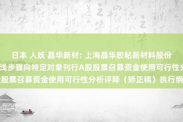 日本 人妖 晶华新材: 上海晶华胶粘新材料股份有限公司2024年度以浮浅步骤向特定对象刊行A股股票召募资金使用可行性分析评释（矫正稿）执行纲目