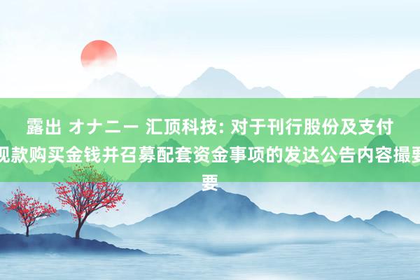 露出 オナニー 汇顶科技: 对于刊行股份及支付现款购买金钱并召募配套资金事项的发达公告内容撮要