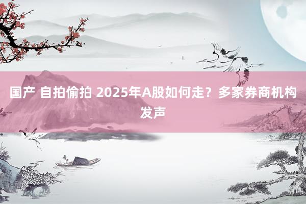 国产 自拍偷拍 2025年A股如何走？多家券商机构发声