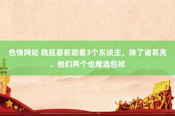 色情网站 魏延墓前跪着3个东谈主，除了诸葛亮，他们两个也难逃包袱