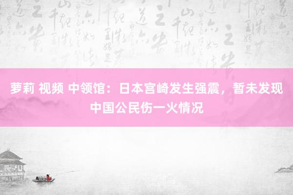 萝莉 视频 中领馆：日本宫崎发生强震，暂未发现中国公民伤一火情况