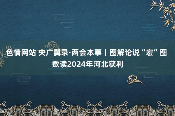 色情网站 央广冀录·两会本事丨图解论说“宏”图 数读2024年河北获利