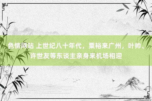 色情网站 上世纪八十年代，粟裕来广州，叶帅、许世友等东谈主亲身来机场相迎