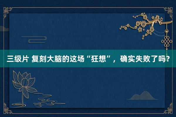 三级片 复刻大脑的这场“狂想”，确实失败了吗？