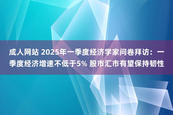 成人网站 2025年一季度经济学家问卷拜访：一季度经济增速不低于5% 股市汇市有望保持韧性