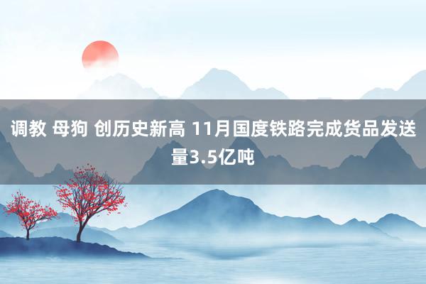 调教 母狗 创历史新高 11月国度铁路完成货品发送量3.5亿吨